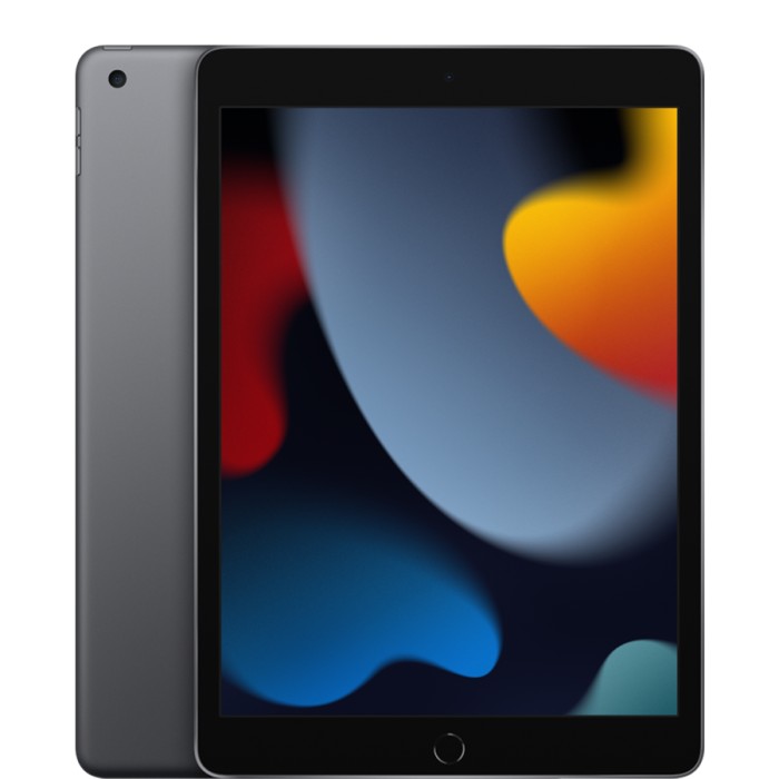 Apple iPad (9th gen) 256 GB grå utmärkt skick Apple